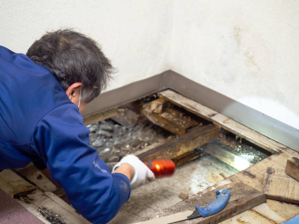 Best Mold Testing  in Draper, UT