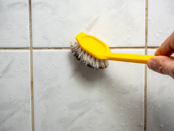 Best Best Mold Removal Companies  in Draper, UT