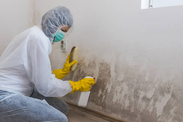 Best Mold Testing  in Draper, UT