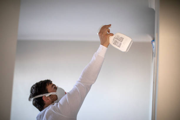Best Mold Cleaning Services  in Draper, UT