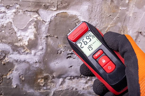 Best Professional Mold Removal  in Draper, UT