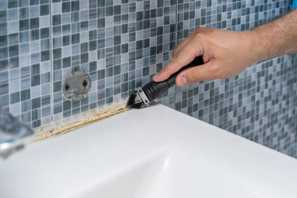 Best Mold Removal Near Me  in Draper, UT